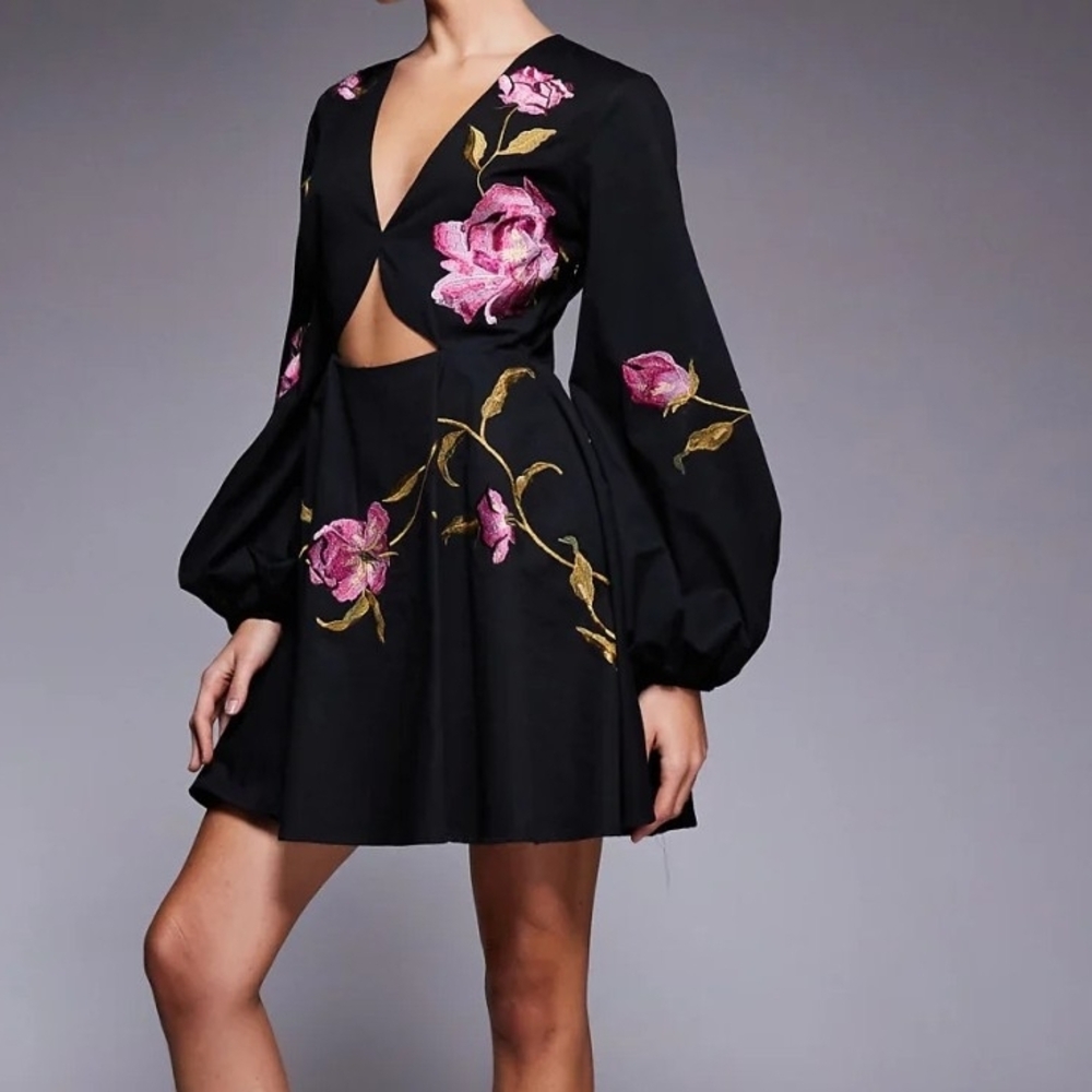 ASOS Embroidered Floral Mini Dress